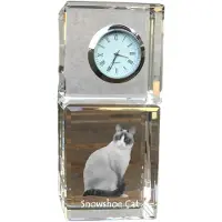 Art-Dog Klok – Snowshoe