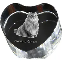 Art-Dog Amerikaanse krullenkat - kristallen klokken met een foto van een kat, hartvormige wandklokken, gepersonaliseerde staande klokken van het merk
