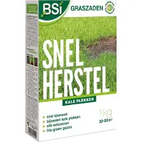 Bsi Graszaad Snel Herstel – 1 kg voor 50 m² | Snelle Kieming