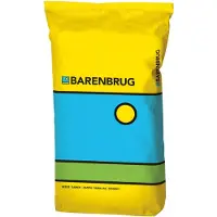 Barenbrug graszaad Rapide - Speel- en sportgazon 15 kg - zeer sterk gazon voor in uw tuin