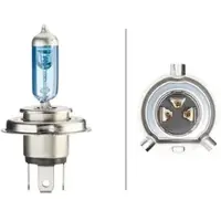 Hella 8GJ 223 498-121 Gloeilamp, koplamp