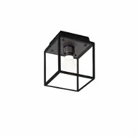 Buster + Punch - Caged Wet / Plafond / Klein