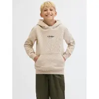 Jack & jones Junior Sweatshirt 'JJESoho' beige