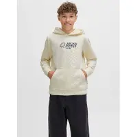 Jack & Jones Junior Sweatshirt lichtbeige / blauw / bruin