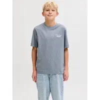 Jack & Jones Junior Shirt 'JORNorrebro' grijs / wit