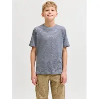 Jack & Jones Junior Shirt 'JORCassis' duifblauw / zwart / wit