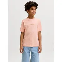 Jack & Jones Junior Shirt beige / lichtblauw / lichtroze / zwart