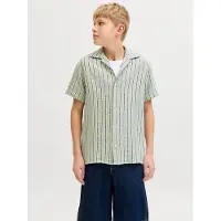 Jack & jones Junior Overhemd 'JORCOBA' pastelgroen / zwart / wit