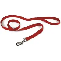 Beeztees - Hondenriem - Nylon - Rood - 100 cm x 20 mm