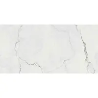 Flaviker Tegel 60 x 120 cm - Quarzite Luna - Keramiek - Rechthoekig - 2 stuks - 1,44 m2 - Marmerlook - Decortegels - Wandtegels - Tegels - 0013293