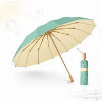 VHV - Paraplu - Opvouwbare reisparaplu - Windbestendige UV paraplu - Lichtgewicht zonparasol - Voor woon werk en reizen