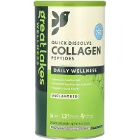 Great Lakes Wellness , Snelle oplossen collageenpeptiden, Dagelijks welzijn, ongevoopt, 16 oz (454 g)