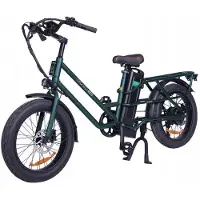GOGOBEST Elektrische fiets - - GF200 - 500W - 80KM - 48V 15.6Ah - 20 inch