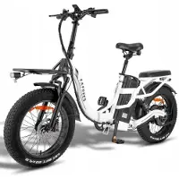 Fafrees F20 X Max elektrische fiets 750W 30Ah 200KM Samsung batterij voor het opladen van mobiele telefoons WIT