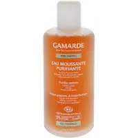 Gamarde Sébo-Control Reinigend Schuimend Water Biologisch 200 ml