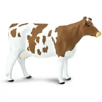 Safari Ltd