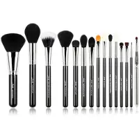 Jessup Makeup Brushes 15 Pcs Makeup Brush Set Beauty Cosmetics Make Up Powder Concealer Eyeshadow Eyeliner Blending Lip Brush Tools (Black/Silver) T09