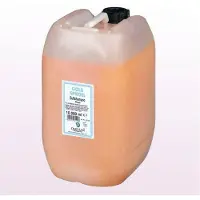 Goldspiegel Pfirsich-Shampoo 10 l