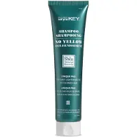 Saryna Key No-Yellow Shampoo (180ml/6.33oz)