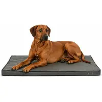 Lionto Hondenmat orthopedisch, memory foam & antislip bodem 100x70 cm
