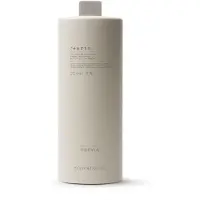 PREVIA / earth: Colour Aktivator 1000 ml 9 % (30 Vol.)