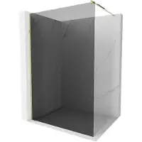 Mexen Kioto douchewand Walk-in 120 x 200 , grafiet 8 mm, goud - 800-120-101-50-40