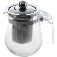 Torribaly 350 ml hittebestendige theepot van helder glas, roestvrijstalen theefilter, bloementheepot