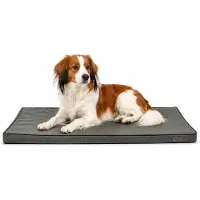 Lionto hondenmat, orthopedisch, met drukverlagend memory foam, antislip onderkant en afneembare hoes, 80x55 cm, grijs