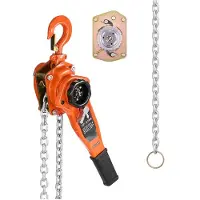 DUOKU Hijsysteem Manuel met Hefboom--van Een Capaciteit van 1 Tonne-Staal Gelegeerd G80 Ketting van 3 Meter-Dubbel Klinks Mechanische Rem
