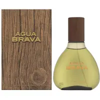 Puig Antonio Agua Brava Eau De Keulen Spray voor mannen 3,4 ounce (pakket kan vari?en)
