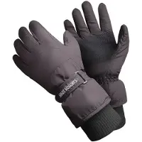 Heat Holder - Waterdichte thermo skihandschoenen voor heren - Zwart
