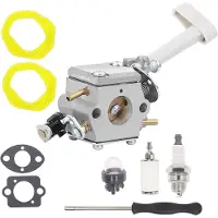 Tlily 308054079 Carburateur voor RY08420 RY08420A BP42 Blower