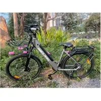 WELKIN Elektrische Fiets - - WKEM002 - 500W - 36V 15Ah - Frame 27.5 inch