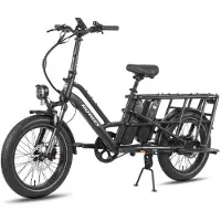 Fafrees FF20 CUV - Elektrische cargofiets - 250 W - 48 V - 24 Ah - 20 inch naaf - Maximale snelheid 25 km/h - Zwart