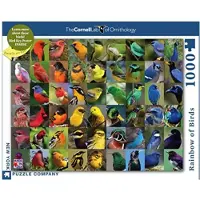 New York Puzzle Company - Cornell Lab Rainbow of Birds - Legpuzzel van 1000 stukjes voor familiespelavonden