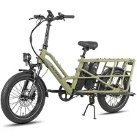 Fafrees FF20 CUV - Elektrische cargo fiets - 250 W - 48 V - 24 Ah - Naven 20 inch - Maximale snelheid 25 km/h - Groen