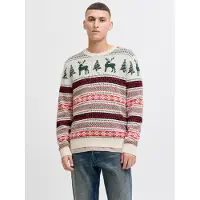 Jack & Jones Trui 'XMAS NOEL' spar / pastelgroen / bloedrood / offwhite