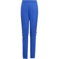 Adidas Sportbroek 'Squadra 25' blauw / limoen