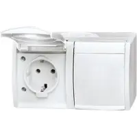 Busch-Jaeger SCHUKO dubbele stopcontact, 20/2EW-54, horizontaal, met klapdeksel, beletteringsveld, IP44, alpinwit, 1 stuk.