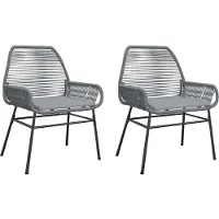 vidaXL Tuinstoelen 2 st met kussens poly rattan grijs