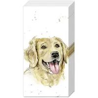 IHR Zakdoeken 6 pakjes - Farmfriends 'Dog' Golde retriever