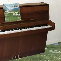 Hamstead Soundworks Sophtware Slump ..... On A Wooden Piano