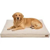 Bingopaw Modern Orthopedisch Hondenkussen XXL - 118 x 89 x 12 cm - Dik Hondenbed - Afneembare en Wasbare Hoes - Waterafstotend & Antislip - Beige