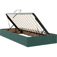 vidaXL Ottoman Bedframe met opslag Donkergroen 100 x 200 cm Fluweel