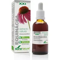 Soria natural Echinacea purpurea XXI