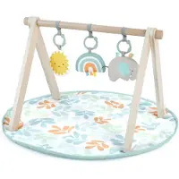 Ingenuity Speelmat voor Baby's