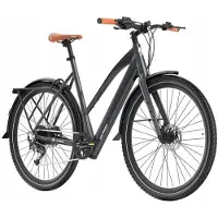 Fafrees Elektrische voertuig - - F700M - 500W - 36V10Ah - 100 km actieradius