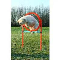 Trixie dog activity agility ring blauw/oranje - 65x3x115 cm