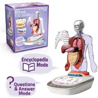 Canal Toys Human Body Voicepedia Roze Kinderen