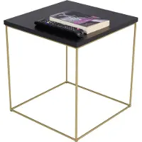 FutuStal - Stalen Salontafel - Zwart - Goud - Vierkant - Metaal